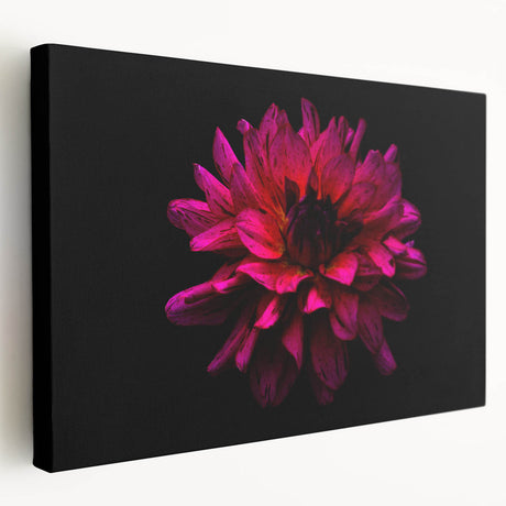 Stretched canvas wall art featuring a botanical dahlia design with vibrant colors, showcasing intricate floral details and a side view of the piece, perfect for home decor.