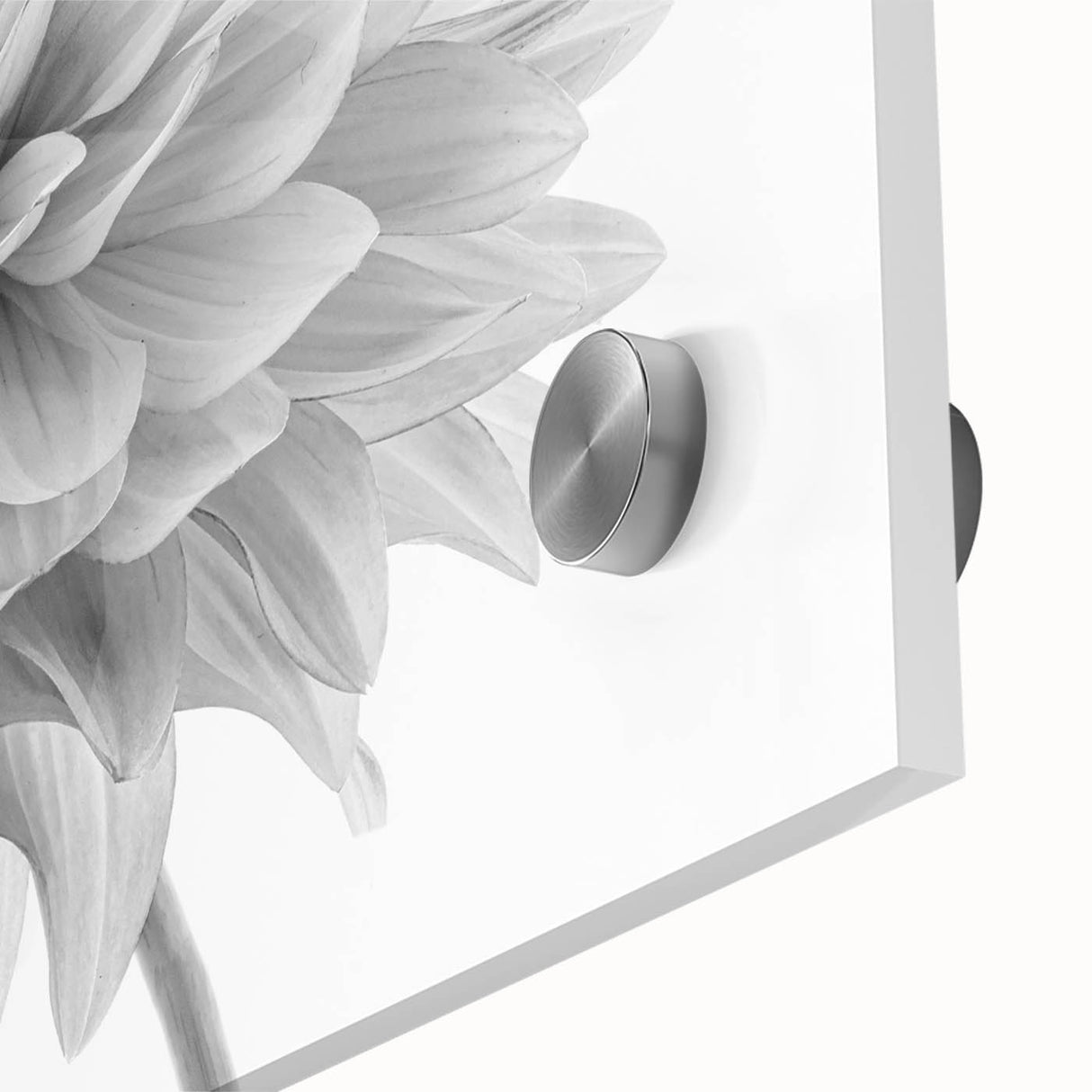 Close-up of a vibrant botanical dahlia wall art design featuring intricate petal details and rich colors, ideal for enhancing home decor with nature-inspired elegance.