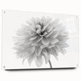 Side view of a botanical dahlia design wall art piece set in acrylic glass, showcasing vibrant colors and fine details, perfect for home decor.