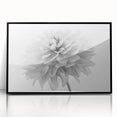 Framed wall art featuring a botanical dahlia design, showcasing vibrant colors and intricate details. The piece is set in a sleek black frame, enhancing its elegance and perfect for home decor. Ideal for flower enthusiasts and art collectors.