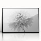 Framed wall art featuring a botanical dahlia design, showcasing vibrant colors and intricate details. The piece is set in a sleek black frame, enhancing its elegance and perfect for home decor. Ideal for flower enthusiasts and art collectors.