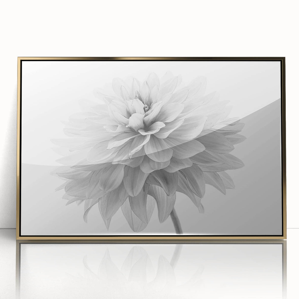 Framed wall art featuring a vibrant botanical dahlia design in gold-accented acrylic, perfect for modern home decor. Ideal for floral enthusiasts and art lovers.