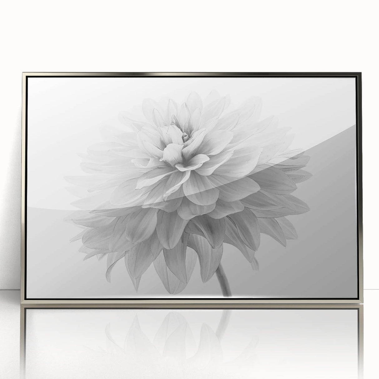 Framed acrylic wall art featuring a botanical dahlia design in silver, showcasing vibrant floral colors and intricate details, perfect for home decor.