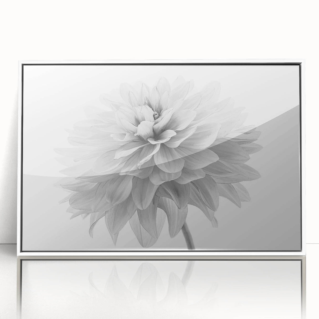 Framed botanical wall art featuring a vibrant dahlia design in acrylic, set against a white background, perfect for adding a floral touch to any room decor.