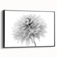 Framed wall art featuring a botanical dahlia design in vibrant colors, displayed from a black side view, perfect for enhancing modern home decor.