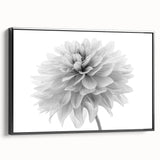 Framed wall art featuring a botanical dahlia design in vibrant colors, displayed from a black side view, perfect for enhancing modern home decor.
