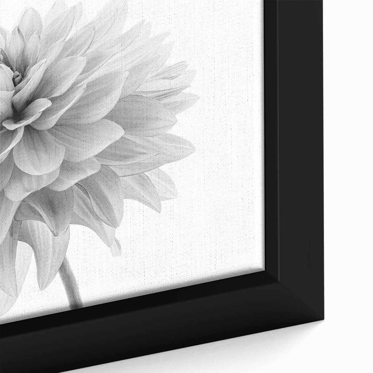 Close-up view of a framed botanical wall art design featuring vibrant dahlia flowers in various shades of pink and yellow, ideal for home decor enthusiasts. This high-quality canvas print showcases intricate details and textures, perfect for adding a touch of elegance to any room.