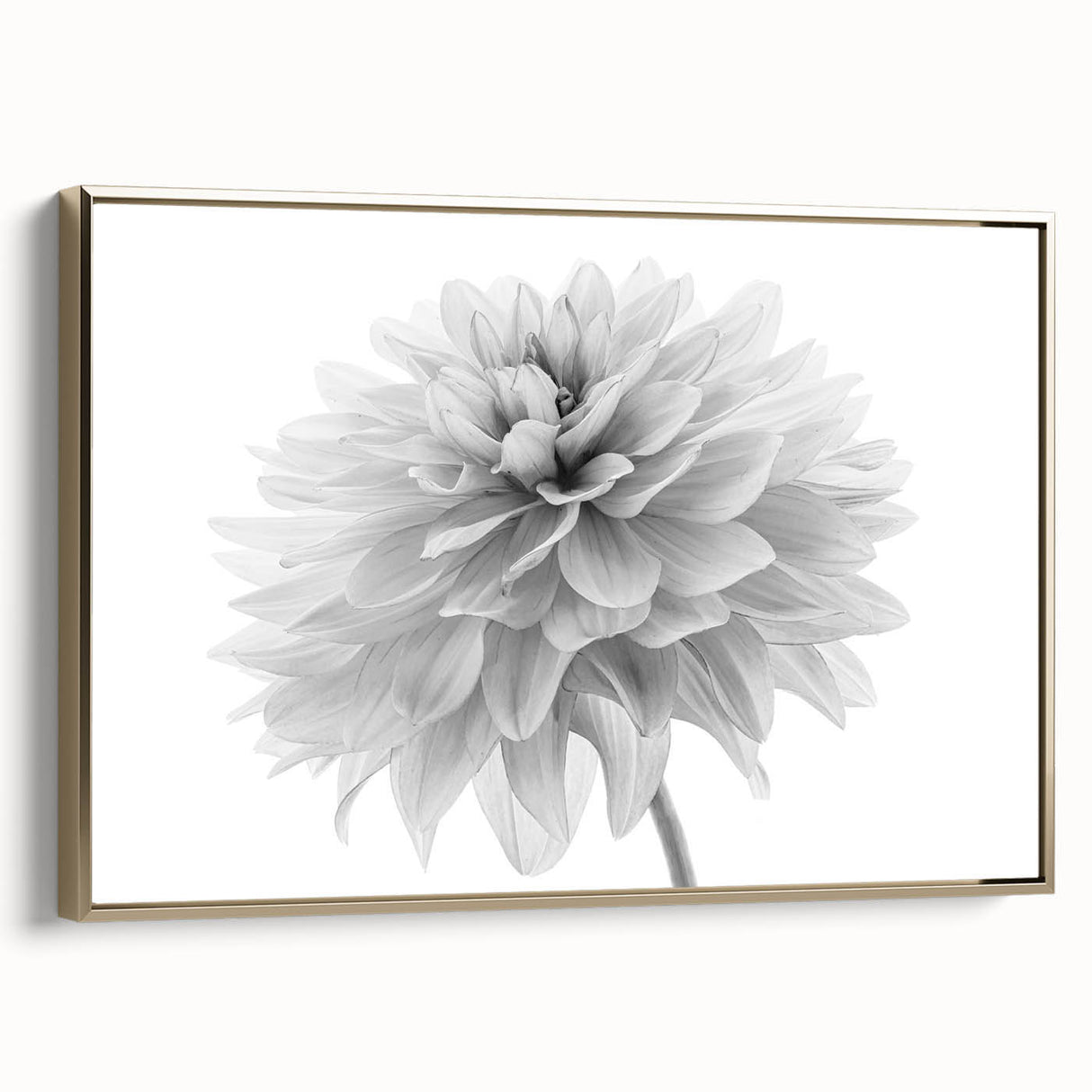 Framed canvas wall art showcasing a vibrant botanical dahlia design in rich hues of pink and gold, elegantly displayed from the side, perfect for home decor.