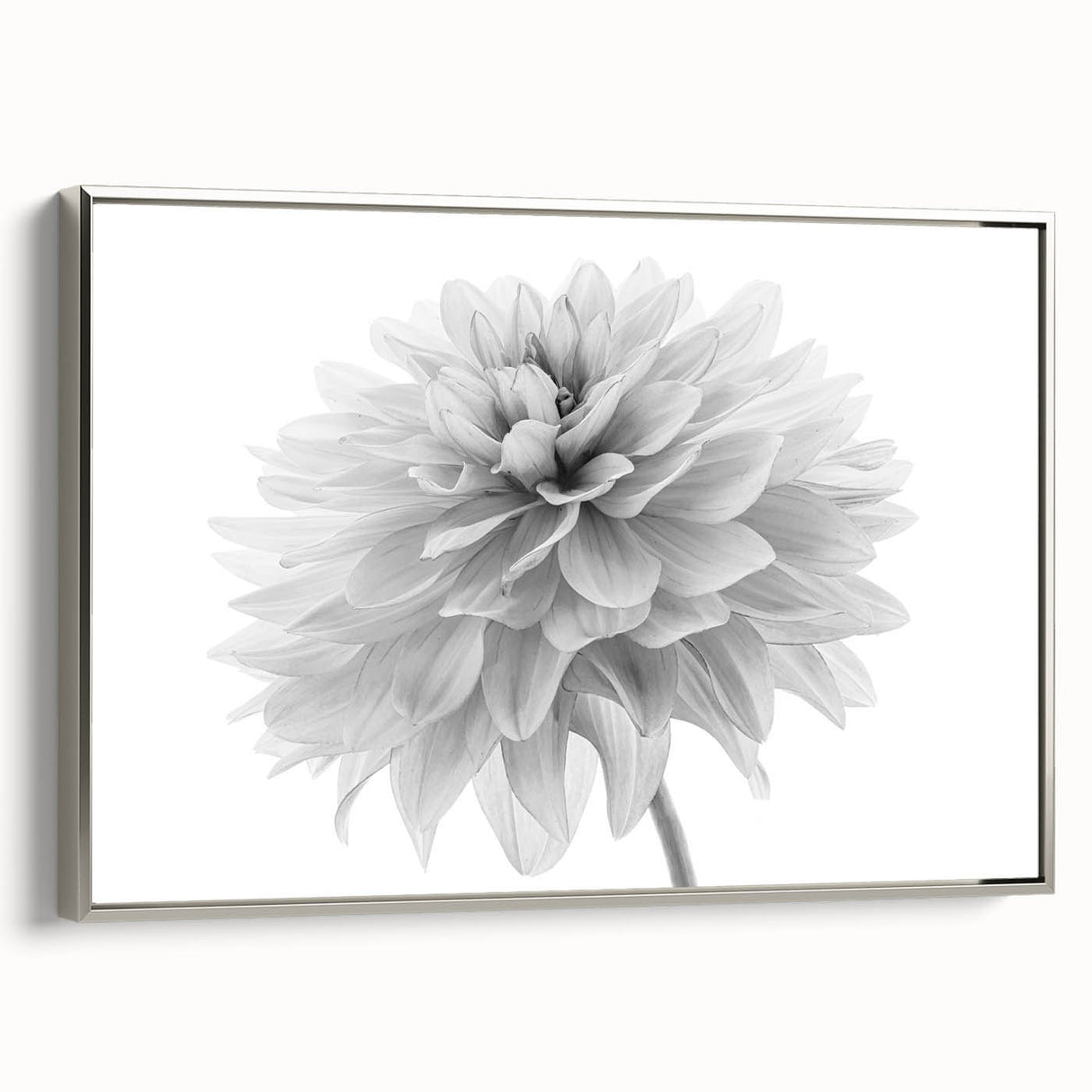 Framed botanical wall art featuring a dahlia design in soft pastel colors, elegantly displayed with a silver frame, perfect for home decor enhancement.