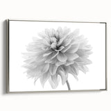 Framed botanical wall art featuring a dahlia design in soft pastel colors, elegantly displayed with a silver frame, perfect for home decor enhancement.