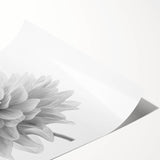 Vibrant dahlia floral wall art print showcasing intricate botanical details in shades of pink and green, rolled and ready for framing or display.