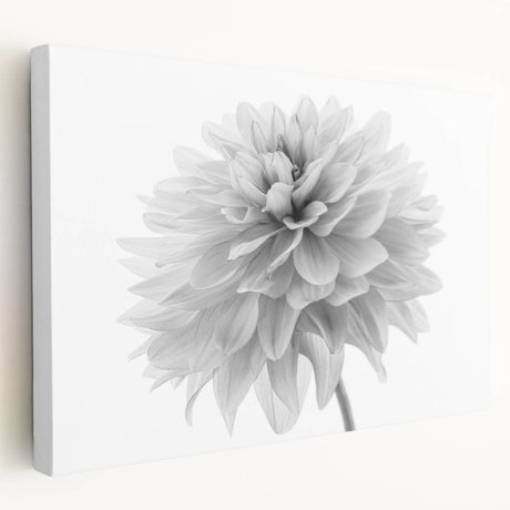 Side view of a stretched canvas showcasing a vibrant botanical dahlia design, featuring rich colors and intricate floral details, perfect for home decor enhancement.