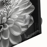 Close-up of a vibrant botanical dahlia wall art design, showcasing intricate floral details and rich colors, perfect for home decor and enhancing interior spaces.