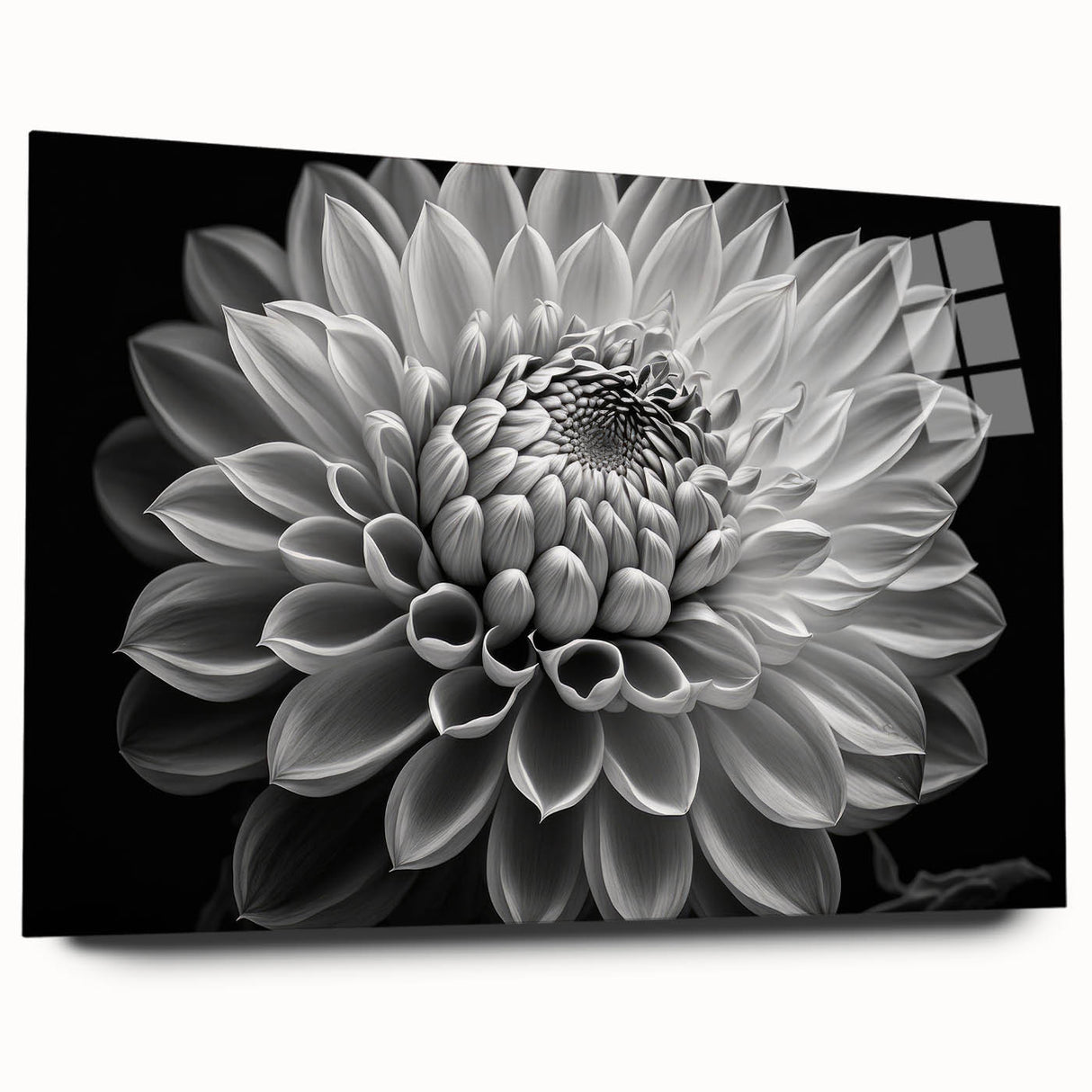 Acrylic glass side view of a botanical dahlia wall art piece, showcasing vibrant floral designs in rich colors, perfect for home decor enhancement.