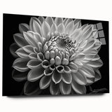 Acrylic glass side view of a botanical dahlia wall art piece, showcasing vibrant floral designs in rich colors, perfect for home decor enhancement.