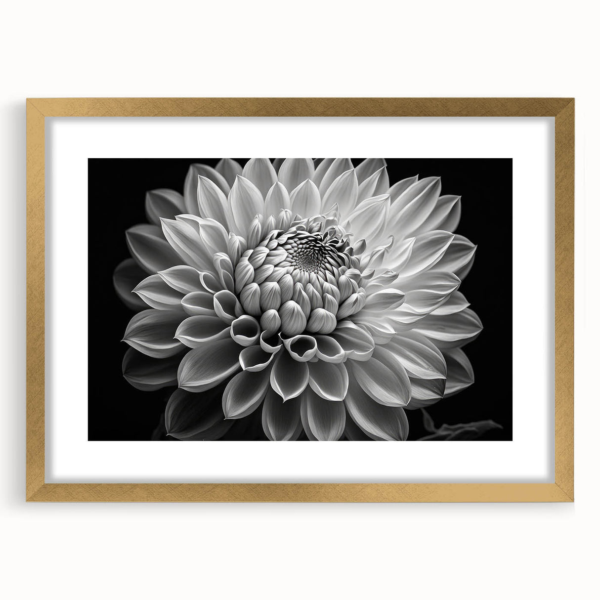 Botanical dahlia wall art print in a gold frame with a mat, showcasing vibrant pink and white flowers against a soft background, perfect for home decor.