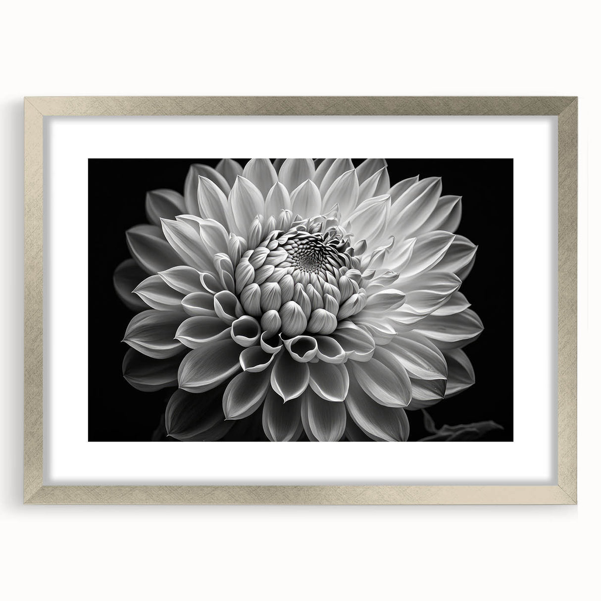 Botanical dahlia wall art collection framed with a silver border, featuring vibrant floral artwork on a white background, ideal for home decor enhancement.