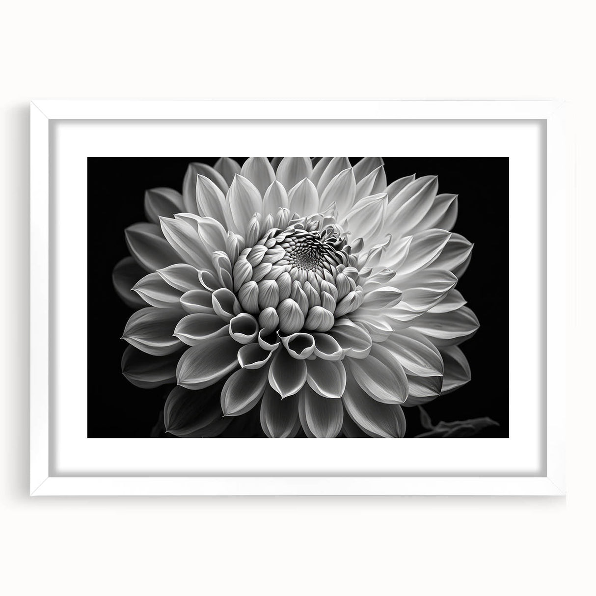 Dahlia botanical wall art collection framed in white with a mat, showcasing vibrant flower illustrations, ideal for home decor enthusiasts seeking a natural aesthetic.