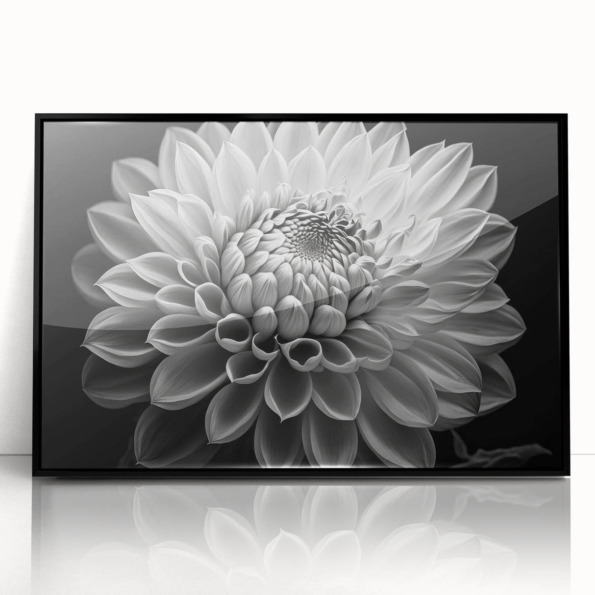 Framed wall art featuring a vibrant botanical dahlia design with intricate floral details in black acrylic frame, ideal for home decor or floral enthusiasts.