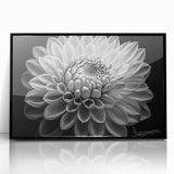Framed wall art featuring a vibrant botanical dahlia design with intricate floral details in black acrylic frame, ideal for home decor or floral enthusiasts.