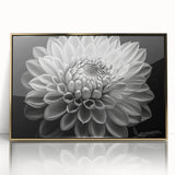 Framed botanical wall art featuring a vibrant dahlia design in rich gold tones, ideal for enhancing home decor with an elegant floral touch.