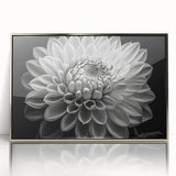 Framed botanical wall art featuring a stunning dahlia design in vibrant colors, showcased in a sleek silver frame, perfect for home decor enhancement.