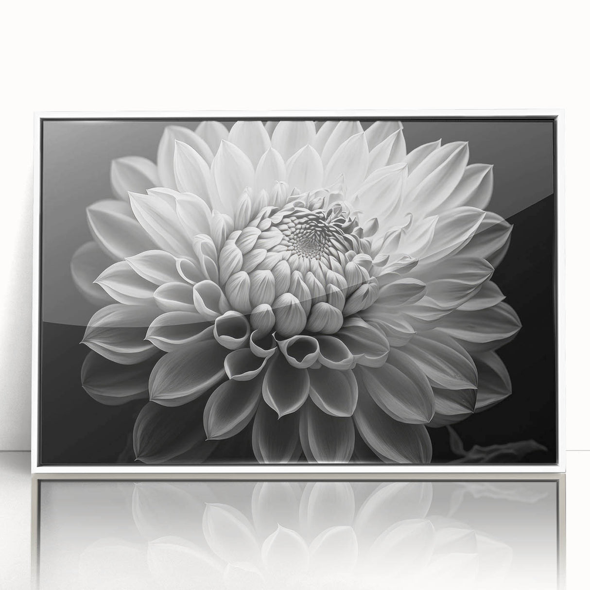 Framed wall art featuring a botanical dahlia design in vibrant colors, showcased in a sleek white frame, perfect for modern home decor and floral enthusiasts.