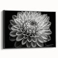 Framed canvas wall art featuring a botanical dahlia design, showcasing vibrant colors with a sleek black frame, perfect for enhancing modern home decor.
