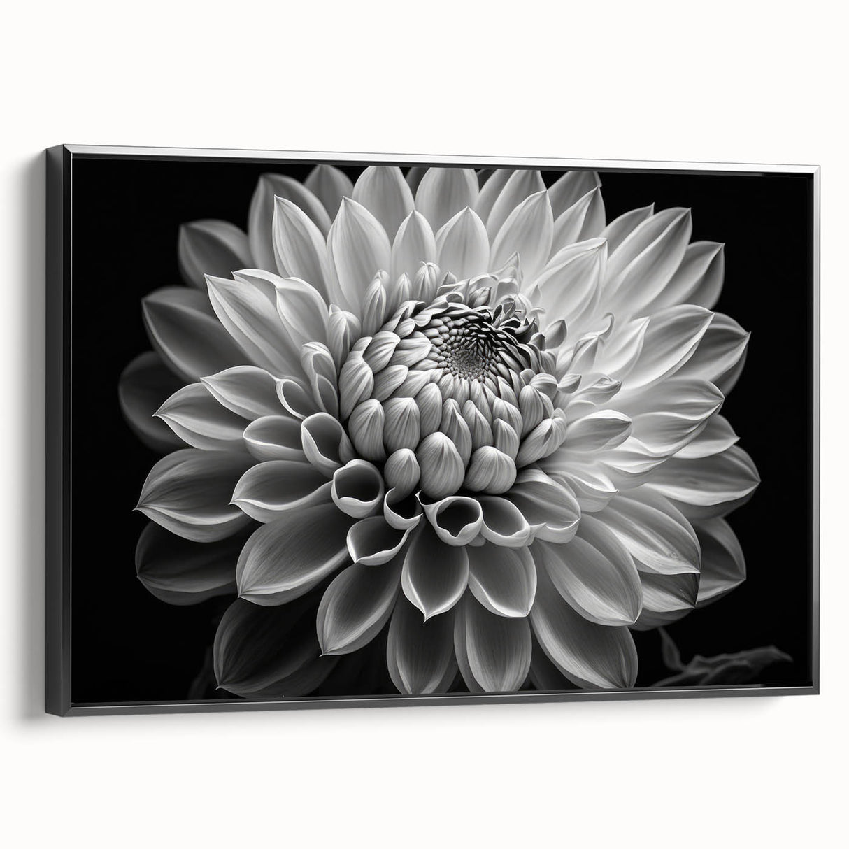 Framed canvas wall art featuring a botanical dahlia design, showcasing vibrant colors with a sleek black frame, perfect for enhancing modern home decor.