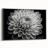 Framed canvas wall art featuring a botanical dahlia design, showcasing vibrant colors with a sleek black frame, perfect for enhancing modern home decor.