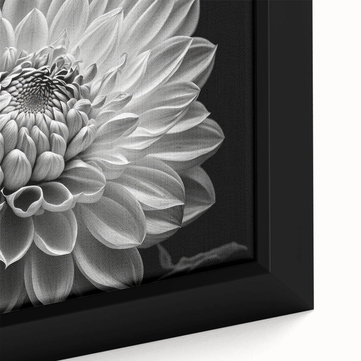 Close-up of a vibrant dahlia flower illustration on framed canvas wall art, showcasing intricate details and rich colors, perfect for botanical decor enthusiasts.