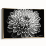 Framed botanical dahlia wall art collection featuring a vibrant gold frame, showcasing colorful floral designs on a textured canvas, perfect for home decor.