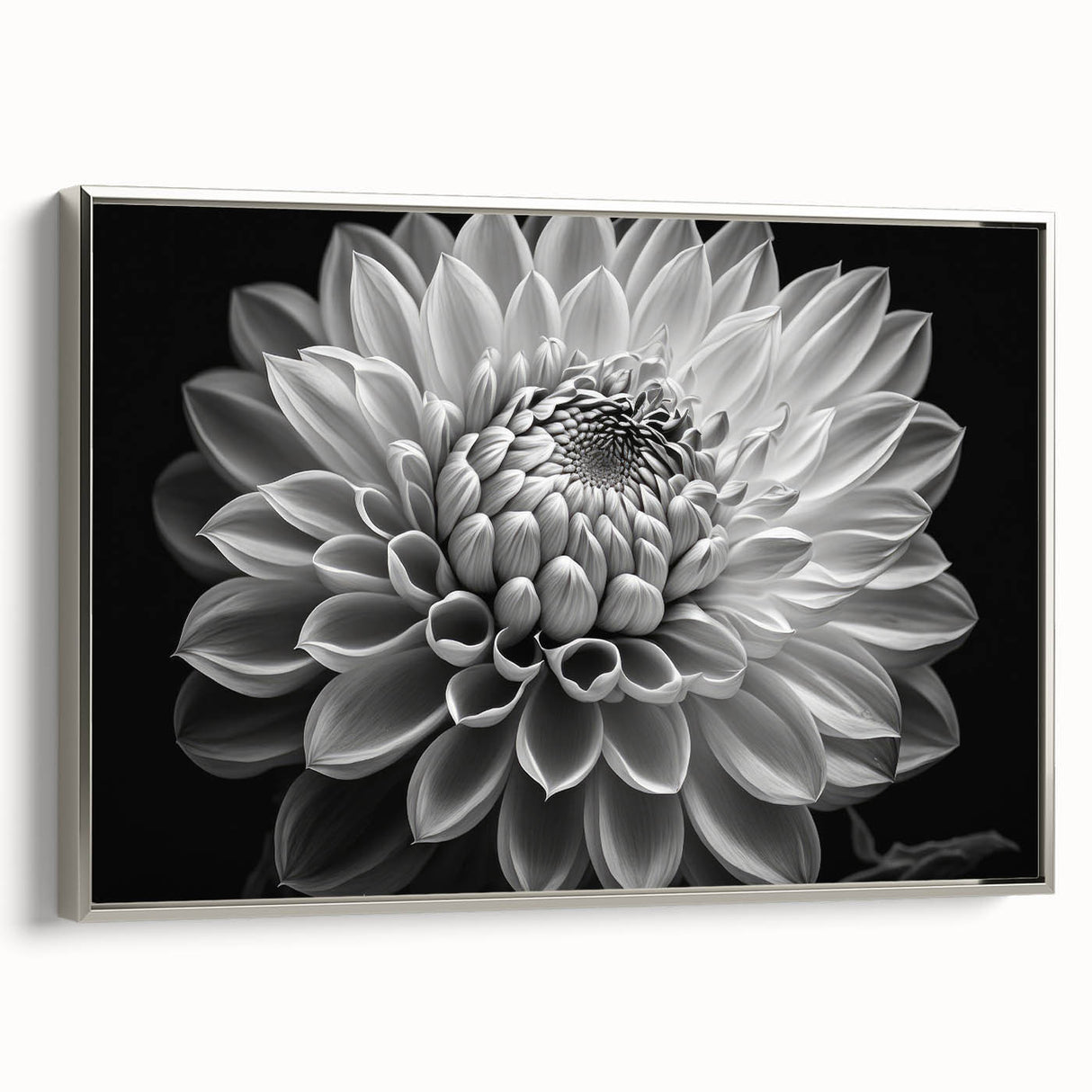 Framed botanical wall art featuring a vibrant dahlia design with intricate details, showcased in a sleek silver frame, perfect for home decor enhancement.