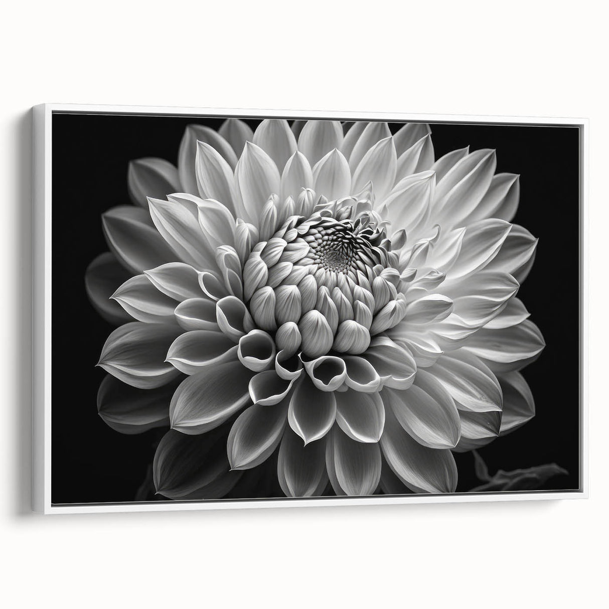 Framed botanical wall art featuring a stunning dahlia design in vibrant colors, displayed against a white background, ideal for home decor. Perfect for adding elegance to any space.