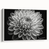 Framed botanical wall art featuring a stunning dahlia design in vibrant colors, displayed against a white background, ideal for home decor. Perfect for adding elegance to any space.