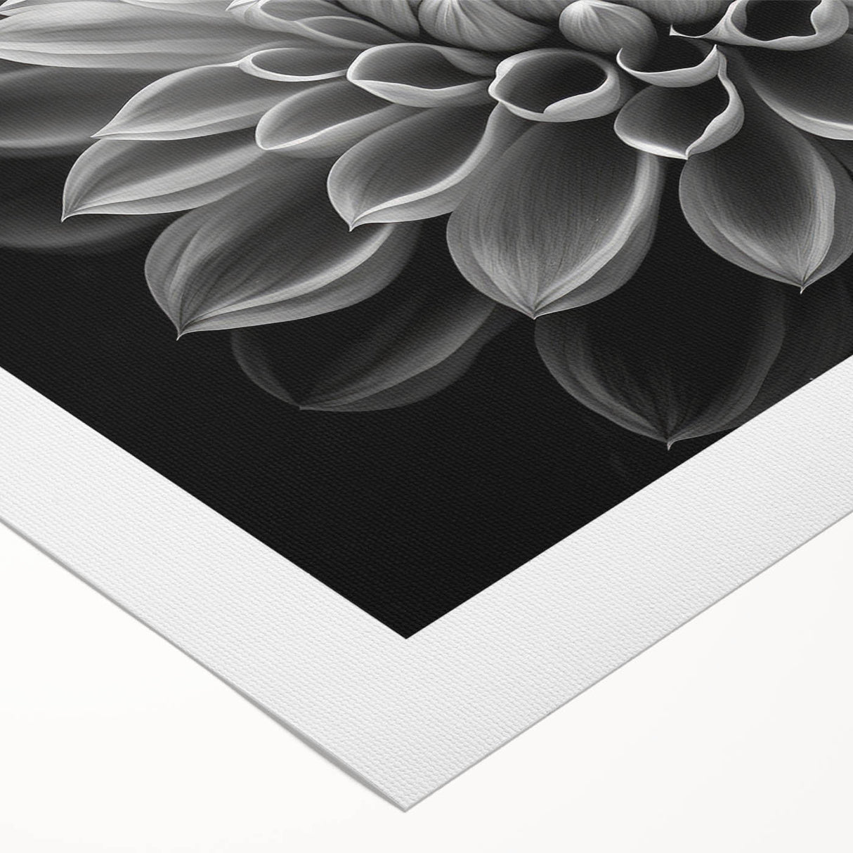 Vibrant botanical dahlia design wall art on rolled canvas, showcasing intricate floral details in rich colors, perfect for home decor or art collections.