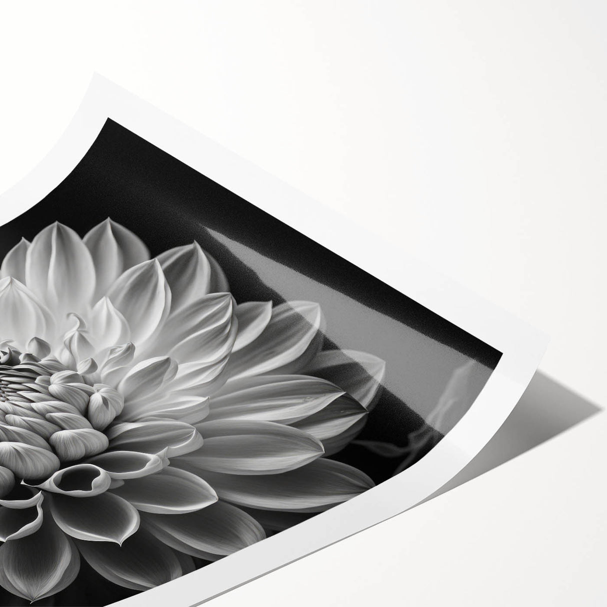 Vibrant botanical dahlia wall art print showcasing intricate floral designs in rich colors, elegantly rolled and ready for display in home decor.