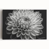 Stretched canvas wall art showcasing a vibrant botanical dahlia design, featuring rich colors and intricate floral details, perfect for home decor enhancement.