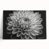 Botanical dahlia design stretched canvas wall art showcasing vibrant pink and white flowers against a soft blue background, perfect for home decor enhancement.