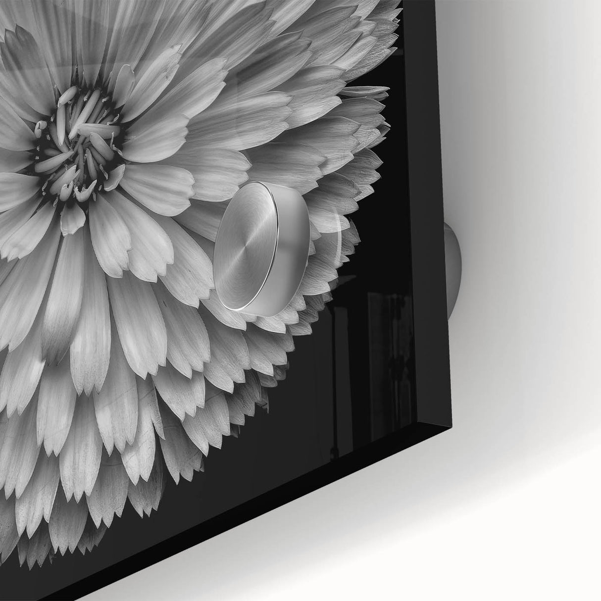 Close-up view of a vibrant dahlia floral wall art design, showcasing intricate details and rich colors, ideal for home decor enthusiasts and botanical art collectors.