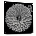 Side view of a botanical dahlia wall art collection displayed in an acrylic glass frame, highlighting vibrant floral designs and elegant pin accents for modern decor.