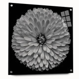 Side view of a botanical dahlia wall art collection displayed in an acrylic glass frame, highlighting vibrant floral designs and elegant pin accents for modern decor.