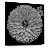 Vibrant botanical wall art collection showcasing a dahlia design, displayed in a sleek acrylic frame from a side view, emphasizing its intricate floral details and modern aesthetic.