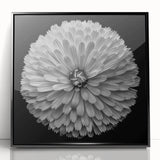 Framed wall art featuring a botanical dahlia design in vibrant colors, set in a sleek black frame, perfect for home decor or office styling. Ideal for flower enthusiasts and nature lovers.