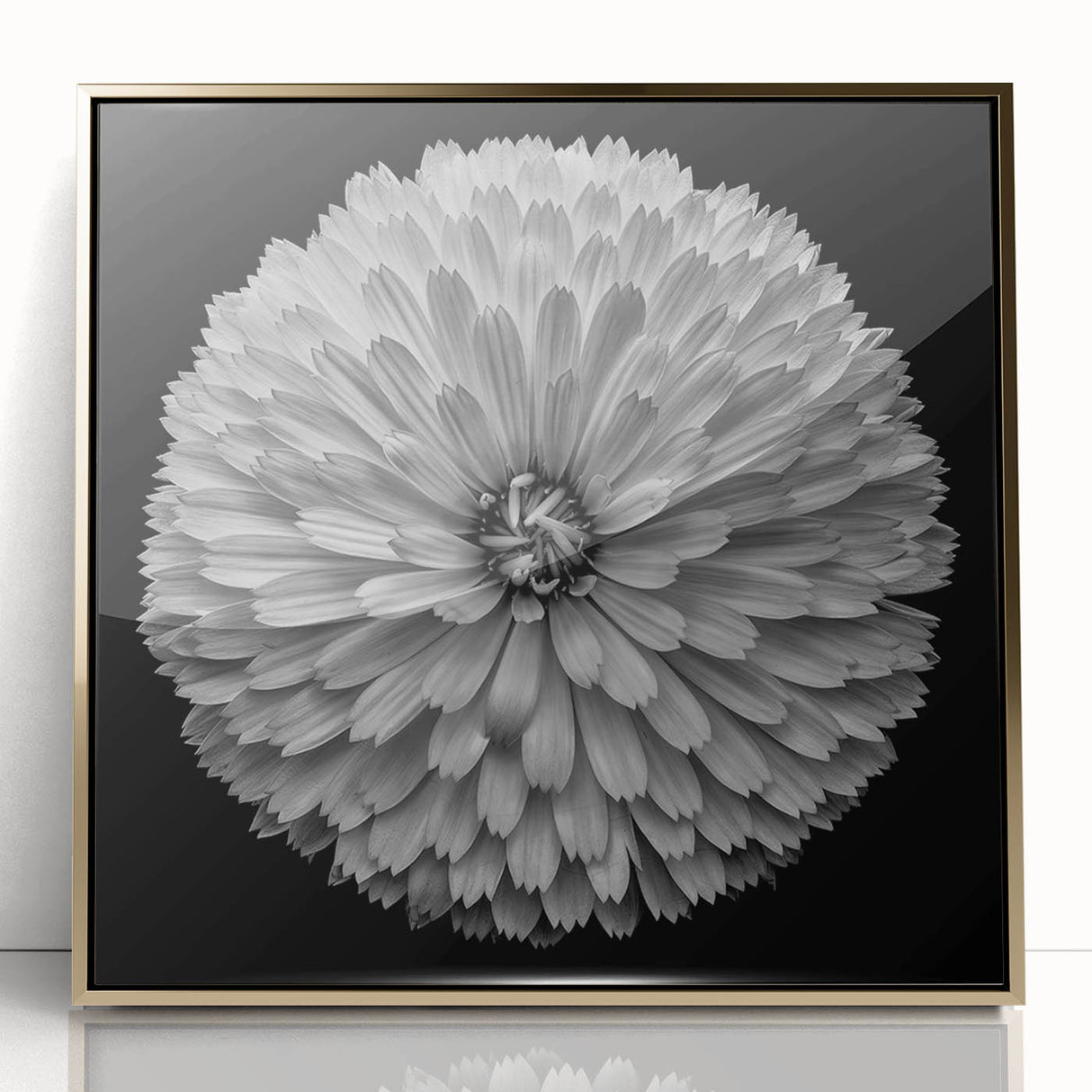 Framed botanical wall art featuring a stunning dahlia design with vibrant colors and gold accents, perfect for enhancing home decor and adding elegance to any space.