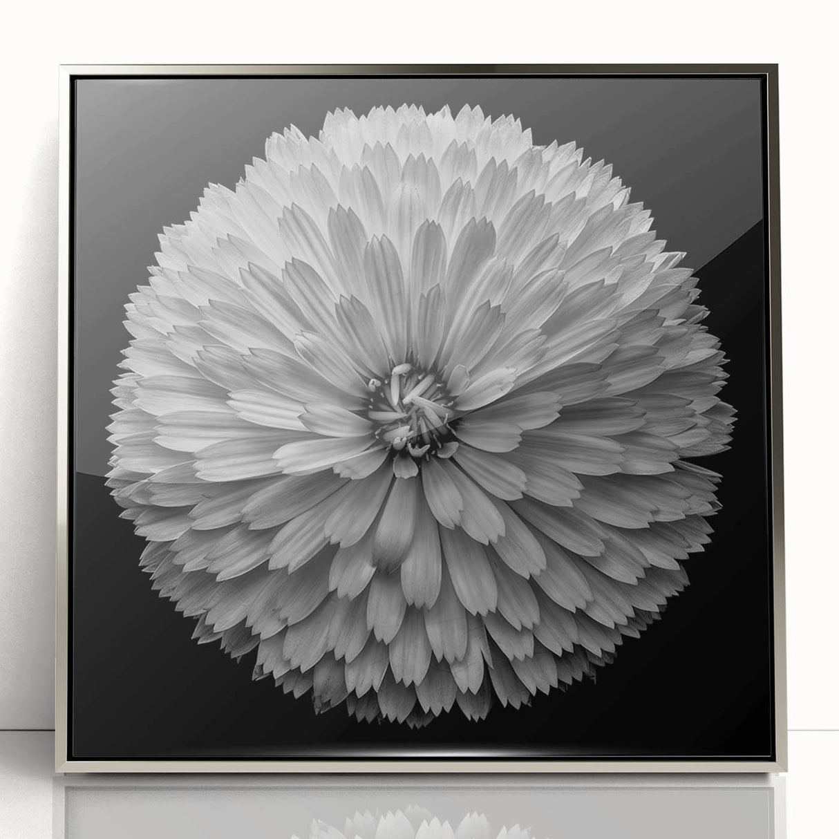 Framed wall art showcasing a botanical dahlia design, featuring vibrant colors and intricate details, displayed in a sleek silver frame. Perfect for home decor.