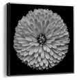 Framed canvas wall art featuring a vibrant botanical dahlia design in rich colors, showcased from the side with a sleek black frame, perfect for home decor.