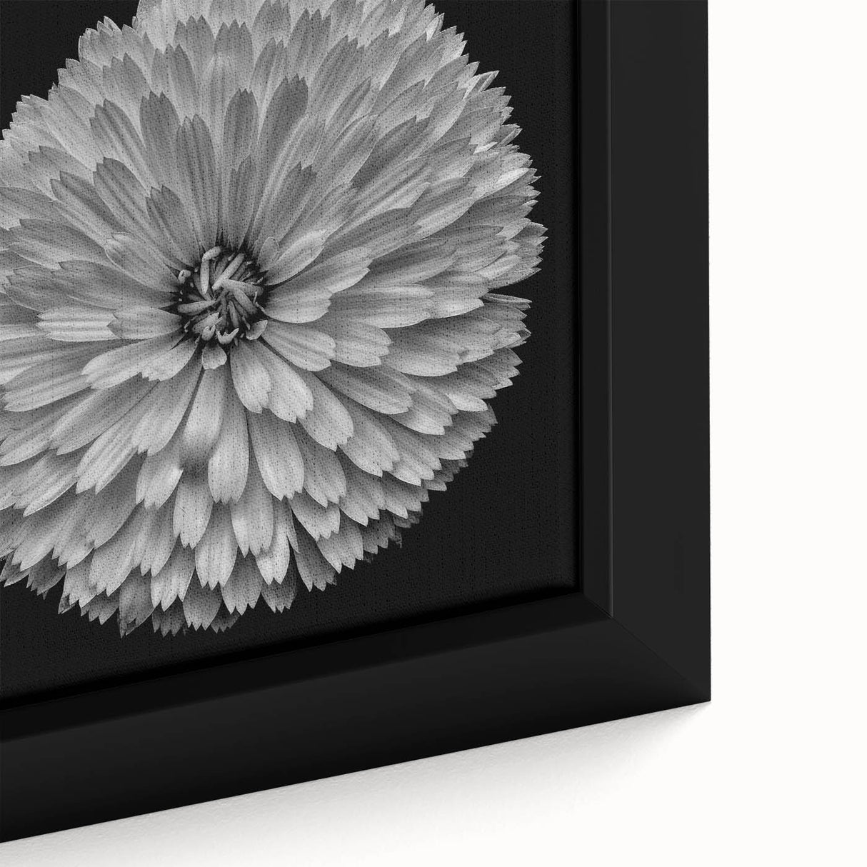 Close-up of a vibrant dahlia floral design wall art print on framed canvas, showcasing intricate petals in shades of pink and yellow against a soft background, perfect for home decor.