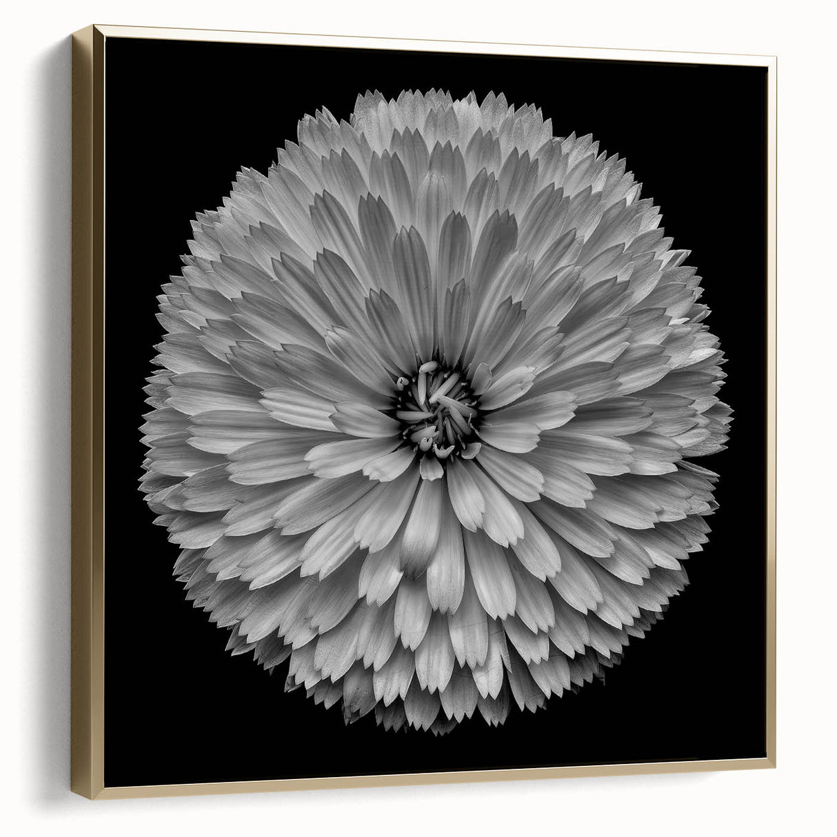Framed wall art featuring a botanical dahlia design in silver and gold tones, elegantly displayed against a neutral background, perfect for home decor enhancement.