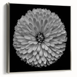 Framed canvas wall art showcasing a botanical dahlia design in vibrant colors, elegantly displayed with a silver frame, perfect for home decor enhancement.